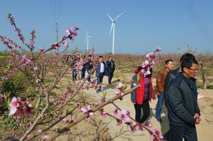 淮海農場有限公司開展職工代表巡視活動2.jpg