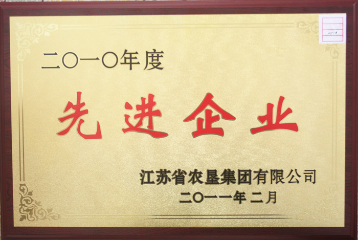 2010年先進(jìn)企業(yè).jpg