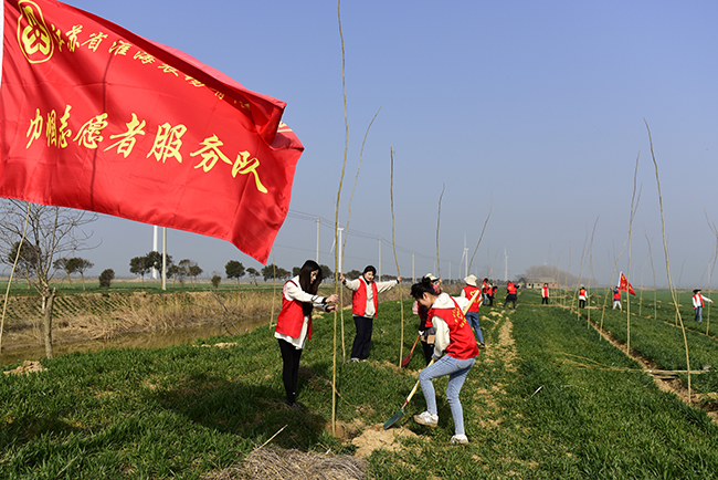 淮海農場公司女職委組織巾幗志愿者開展植樹造林活動.jpg